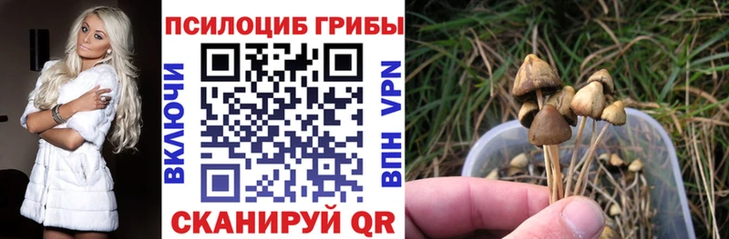 Псилоцибиновые грибы ЛСД  где можно купить   Нея 